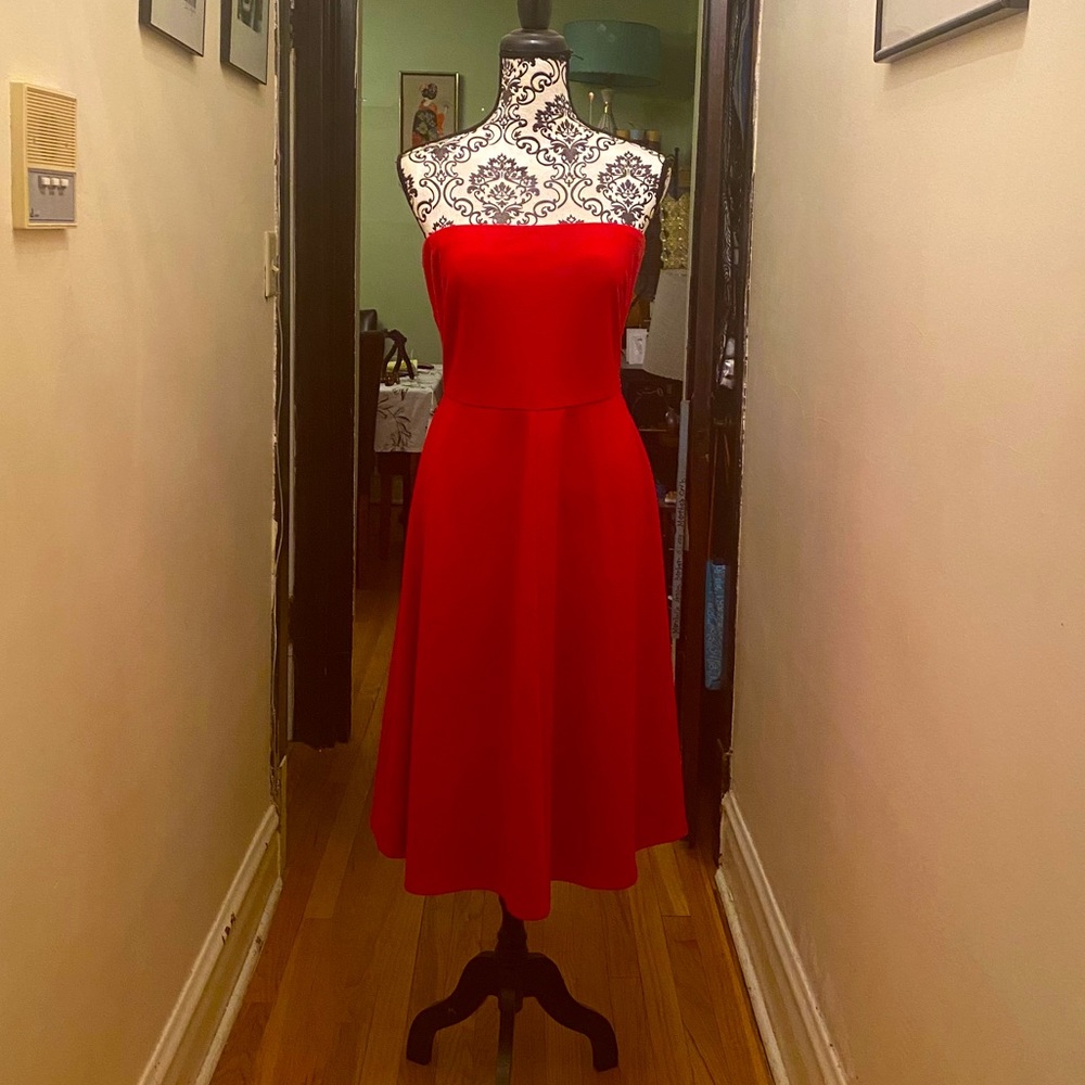 Strapless Red Cotton A-line by Limited, Size Large